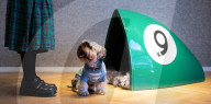 Bonhams' Goodwoof's Barkitecture kennel design competition 2024 preview at Bonhams New Bond Street, London, UK.