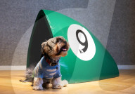 Bonhams' Goodwoof's Barkitecture kennel design competition 2024 preview at Bonhams New Bond Street, London, UK.
