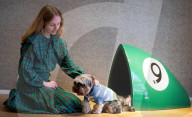 Bonhams' Goodwoof's Barkitecture kennel design competition 2024 preview at Bonhams New Bond Street, London, UK.