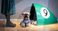 Bonhams' Goodwoof's Barkitecture kennel design competition 2024 preview at Bonhams New Bond Street, London, UK.
