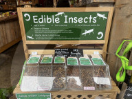 FEATURE - Insect Candy For Sale In London's Borough Market - 7 May 2024