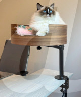 Cat nest stops work from home pet incursion