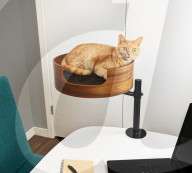Cat nest stops work from home pet incursion