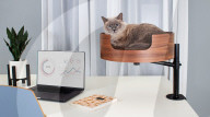 Cat nest stops work from home pet incursion