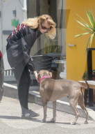*EXCLUSIVE* Stella Maxwell Pets the Gym Dog arriving for a Workout Session in WeHo