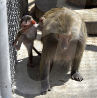 Podilskyi Zoo in Vinnytsia