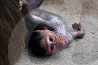 Podilskyi Zoo in Vinnytsia