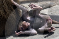 Podilskyi Zoo in Vinnytsia