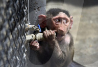 Podilskyi Zoo in Vinnytsia