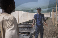 How southern Madagascar is coping in a climate crisis