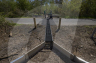 Adder girl! Tunnels aim to encourage British snakes to mix and breed