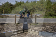 Adder girl! Tunnels aim to encourage British snakes to mix and breed
