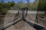 Adder girl! Tunnels aim to encourage British snakes to mix and breed