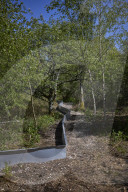Adder girl! Tunnels aim to encourage British snakes to mix and breed
