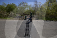 Adder girl! Tunnels aim to encourage British snakes to mix and breed