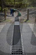 Adder girl! Tunnels aim to encourage British snakes to mix and breed