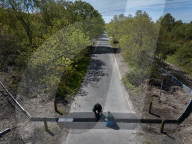 Adder girl! Tunnels aim to encourage British snakes to mix and breed