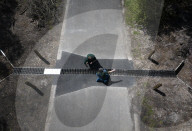 Adder girl! Tunnels aim to encourage British snakes to mix and breed
