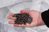 'A world first': project recycles polyester into yarn for new clothes