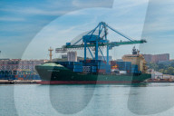 FEATURE - Der Hafen von Marseille