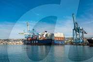 FEATURE - Der Hafen von Marseille