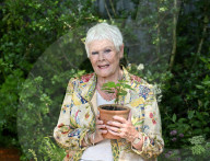 RHS Chelsea Flower Show 2024 at the Royal Hospital, Chelsea, London, UK.