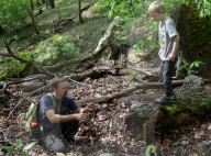 Missouri Mycological Society hunt wild mushrooms