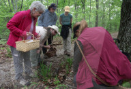 Missouri Mycological Society hunt wild mushrooms