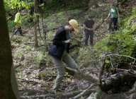 Missouri Mycological Society hunt wild mushrooms