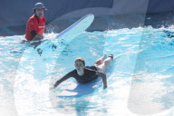 Surfing in the city: how UrbnSurf Sydney's new wave park measures up to the real thing 