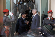 Prime Minister Rishi Sunak meets Austria Chancellor Nehammer