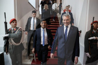 Prime Minister Rishi Sunak meets Austria Chancellor Nehammer