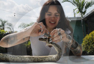 Florida woman makes fashion out of dead Pythons