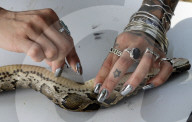 Florida woman makes fashion out of dead Pythons