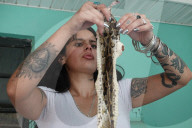 Florida woman makes fashion out of dead Pythons