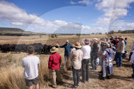 Meet the Australians swapping supermarket shopping for farm shares.