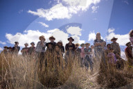 Meet the Australians swapping supermarket shopping for farm shares.