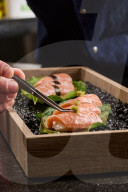 Lab-grown bluefin tuna