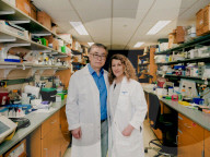 ‘It was smart to marry the competition’: meet the ‘power couples’ who work together.