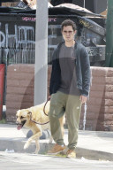 *EXCLUSIVE* Max Minghella strolls through Los Feliz with his dog