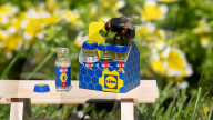 Reviving six pack for tired bees