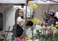 *EXCLUSIVE* Jordana Brewster beams while picking flowers at the LA Farmers Market