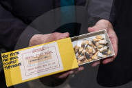 How Tick Begg revolutionised braces and made 1920s Adelaide 'the orthodontic centre of the world'