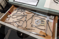 How Tick Begg revolutionised braces and made 1920s Adelaide 'the orthodontic centre of the world'
