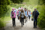 This direction: Cheshire village launches Harry Styles tour for pop star's fans