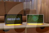 Smart speaker brings nature into the home