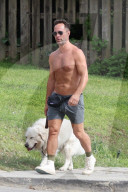 *EXCLUSIVE* Chris Diamantopoulos takes Zeus for an afternoon walk