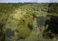 The film about the farming couple who struck gold by rewilding. Isabella Tree.