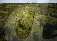 The film about the farming couple who struck gold by rewilding. Isabella Tree.
