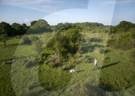 The film about the farming couple who struck gold by rewilding. Isabella Tree.